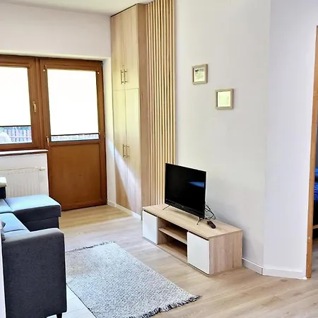 Why Not Bogówka 12a/2 Obok Skoczni Apartament *