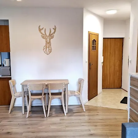 Apartament Why Not Bogówka 12a/2 Obok Skoczni